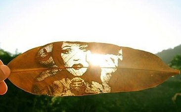 激光雕刻樹(shù)葉 給你不一樣的視覺(jué)體驗(yàn)